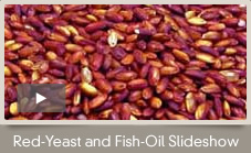 Studies show that when red-yeast rice is combined with fish oil and life-style changes, the reduction in LDL-C is significant. View Slideshow.