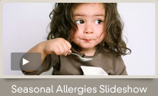 A number of foods from apples to probiotics have allergy fighting nutrients that helps reduce seasonal allergic reactions.