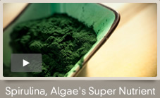 Spirulina