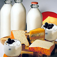 Dairy_Foods.jpg