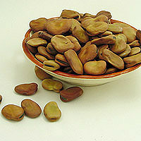 Fava_Beans.jpg
