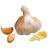 Garlic.jpg