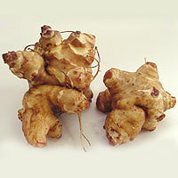 Jerusalem_Artichoke.jpg