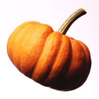 Pumpkin.jpg