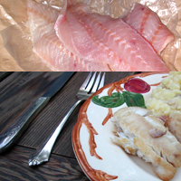 Red_Snapper.jpg