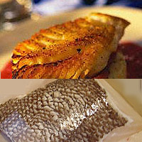 Sea_Bass.jpg