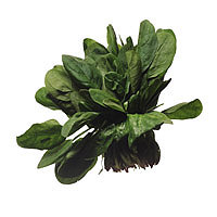 Spinach.jpg