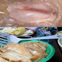 Tilapia.jpg