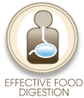 enzymes detox
